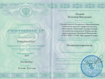 Сертификат специалиста. Лозовой Владимир Викторович