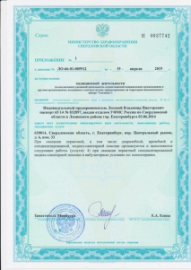 Приложение к лицензии