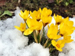 Набираем новые весенние группы  на 13 и 27 марта!