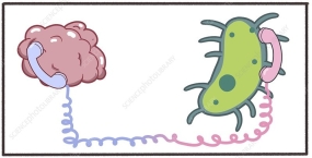 О тяге к сладкому и способах с ней справиться