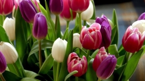 Завершился стартовавший три недели назад проект «Весна» 